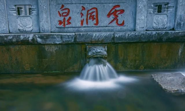 济南有哪些好玩的花海景区,打卡济南精心打造11处花海景观图15