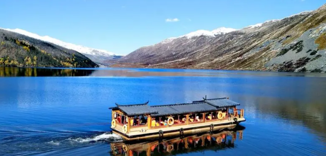 最美杜鹃花在哪里(春末夏初走进雪域最美杜鹃花海)图3