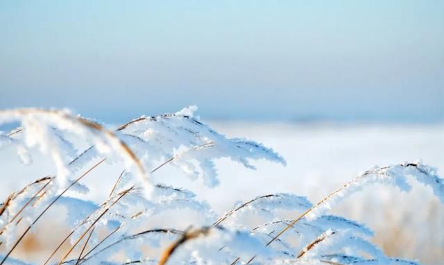 人生四季皆风景,雪落时节又逢君什么意思图3