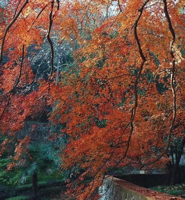 莫干山团建基地,莫干山有什么团建图39