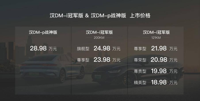 比亚迪dm-i冠军版120km超越型落地价图2