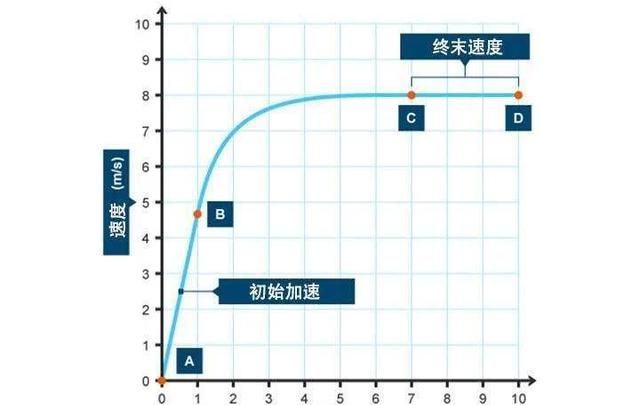 一只蚂蚁从高空落下能砸死人吗图5