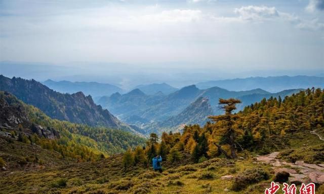 黄草梁，从“黄草梁”到“绿草原”——探访山西宁武马仑草原生态之变图1