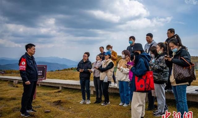 黄草梁，从“黄草梁”到“绿草原”——探访山西宁武马仑草原生态之变图2