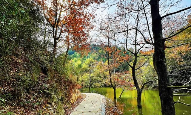 绍兴小九寨免费景点,绍兴十大夏季避暑旅游景点图1