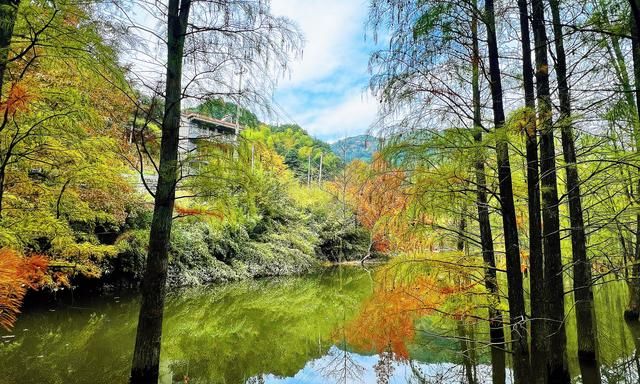 绍兴小九寨免费景点,绍兴十大夏季避暑旅游景点图6