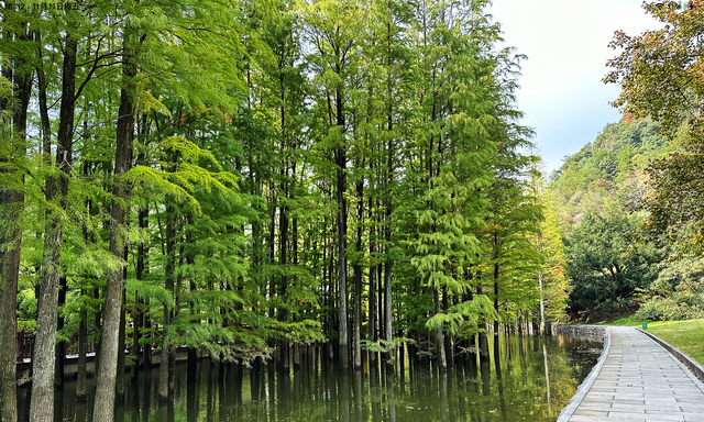 绍兴小九寨免费景点,绍兴十大夏季避暑旅游景点图11