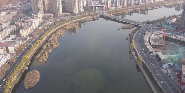 承德武烈河水鸟图5