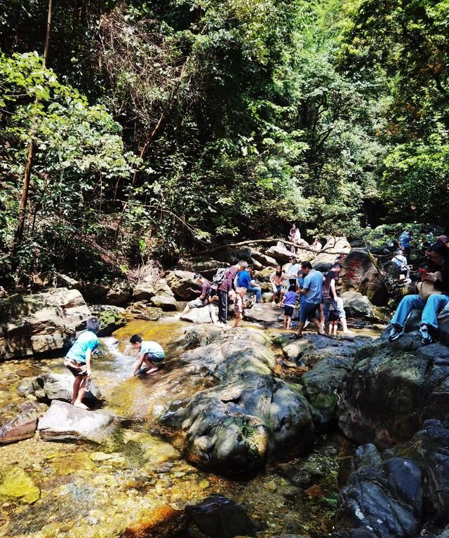 鼎湖山一日游玩攻略,鼎湖山旅游几天最好图3