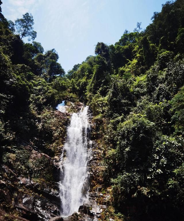 鼎湖山一日游玩攻略,鼎湖山旅游几天最好图5