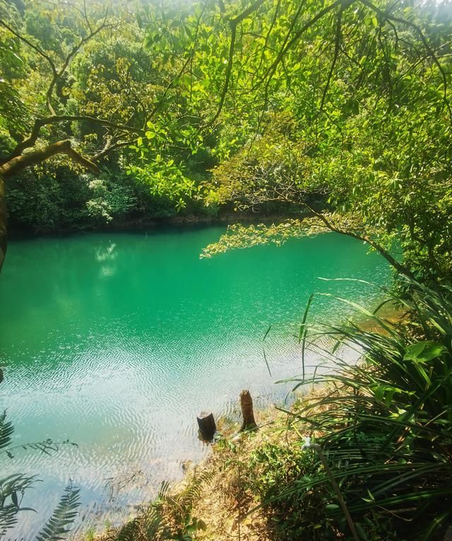 鼎湖山一日游玩攻略,鼎湖山旅游几天最好图7