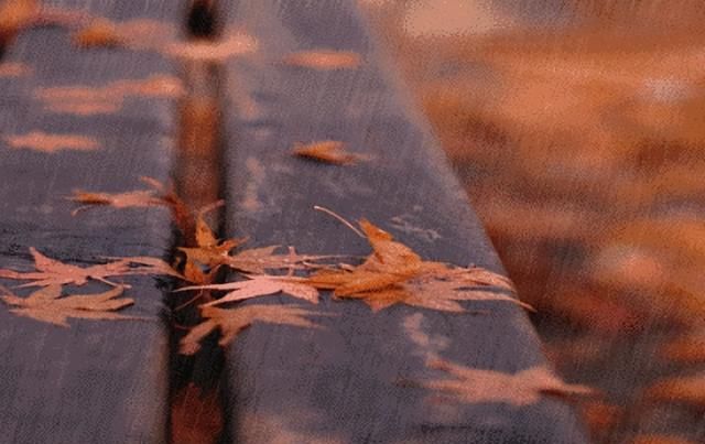 一场秋雨一场寒一份牵挂一份暖,一场秋雨一场寒一分收获一分甜图1