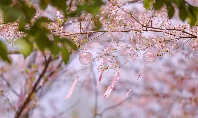 李商隐芭蕉不展,李商隐写芭蕉不展丁香结时的背景图2