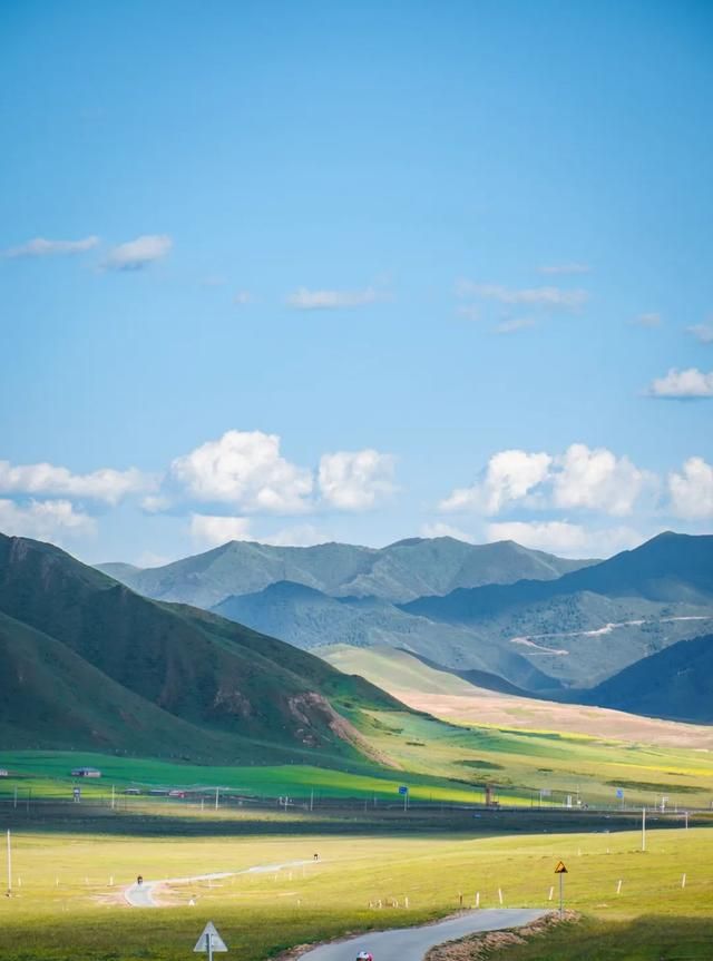 七月的甘南草原花海风光,七月的甘南花海图29