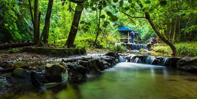 夏天必去的神仙地方,夏日必去的几个地方图9