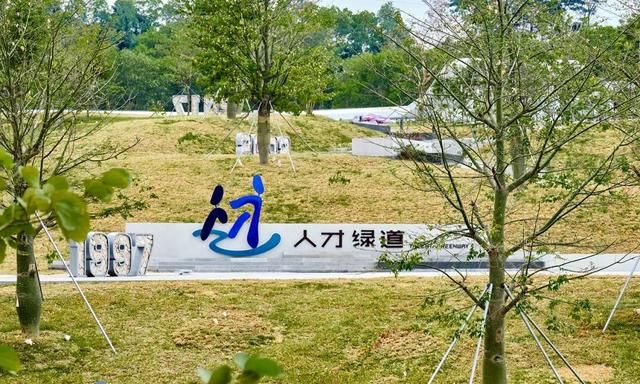 深圳必去的100个地方,你去过几个城市图81