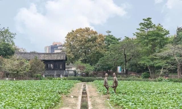 深圳必去的100个地方,你去过几个城市图82