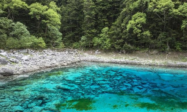 去四川九寨沟旅游攻略,四川九寨沟光雾山旅游攻略图2