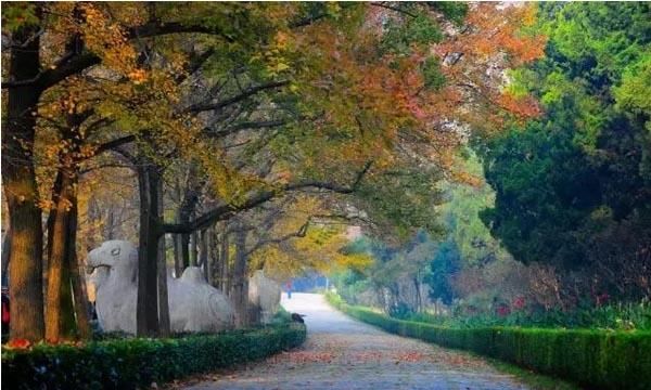 南京秋天哪里好玩的景点,南京秋天最值得去玩的免费景点图2