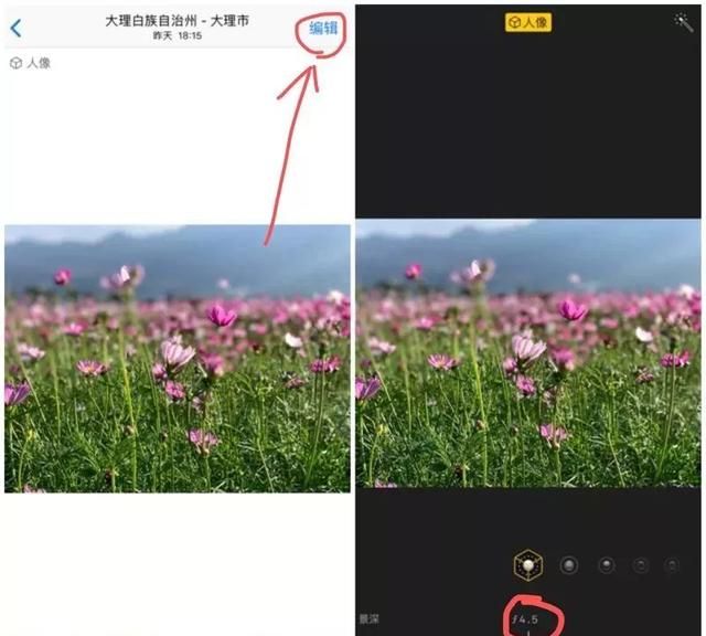 iphone手机拍照操作指南图18