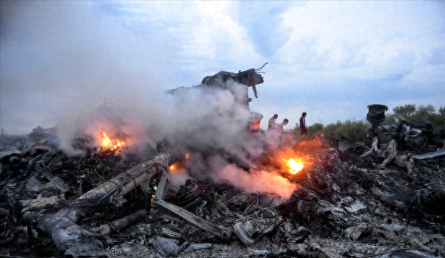 乌克兰民航客机被击落事件,客机在乌克兰上空被击落事件图16