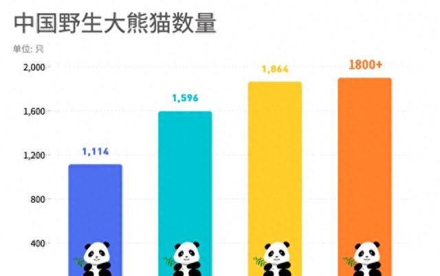 野生大熊猫会不会迁徙到其他国家图4