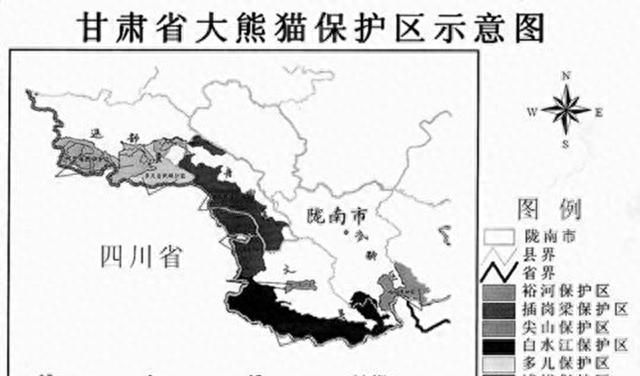 野生大熊猫会不会迁徙到其他国家图16