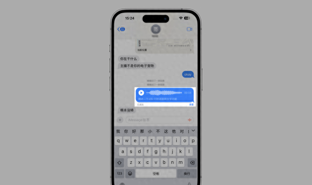 ios17正式版来了带来一大波新功能图18