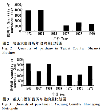 娃娃鱼能不能吃,能不能看手野生图2