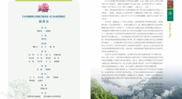 这里藏了35种杜鹃花图11