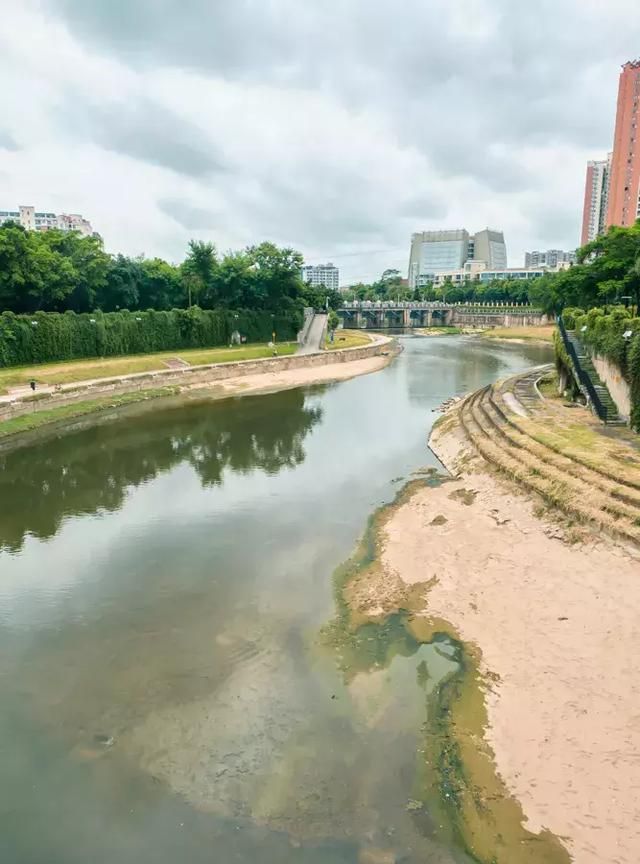 观澜最近的消息,观澜为什么房价贵了图47