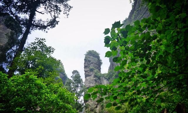 雁荡山是在哪个地方(雁荡山在什么地方)图1