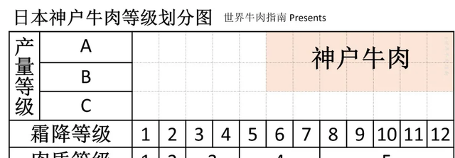 一图带你秒懂各国牛排分级(牛排十二个等级最好的牛排是哪种)图19