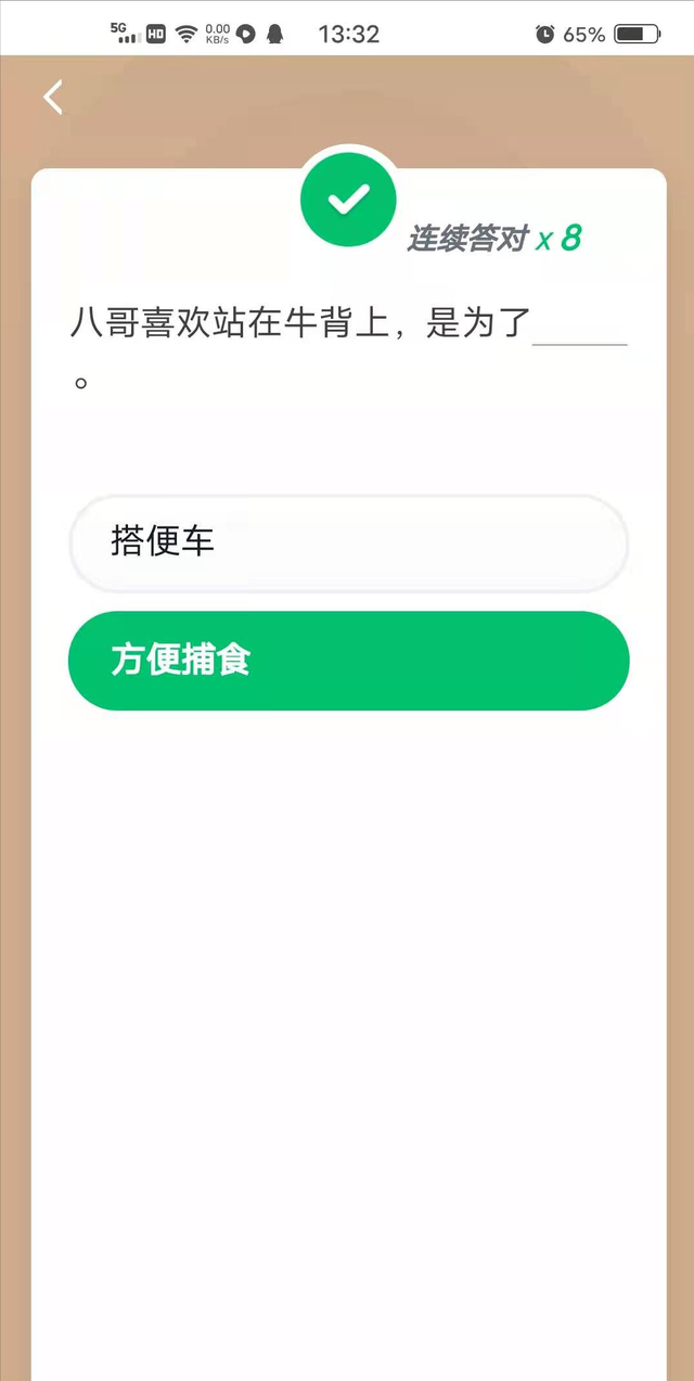 八哥喜欢站在牛背是为了什么图3