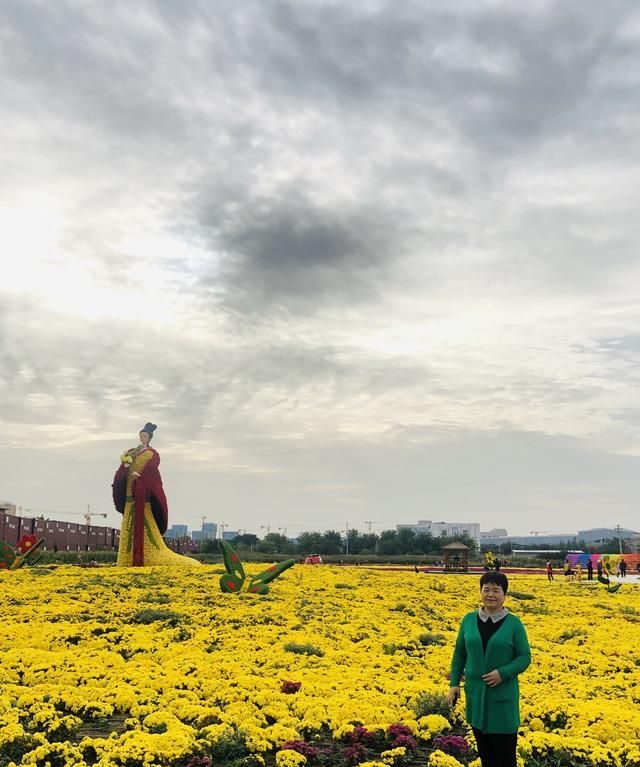 西安爱菊丝路菊花展览地址,西安七彩菊花展图10