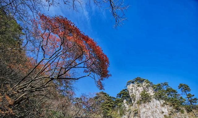 天下第一奇山黄山旅游景点(黄山风景区风景秀丽中外闻名)图6