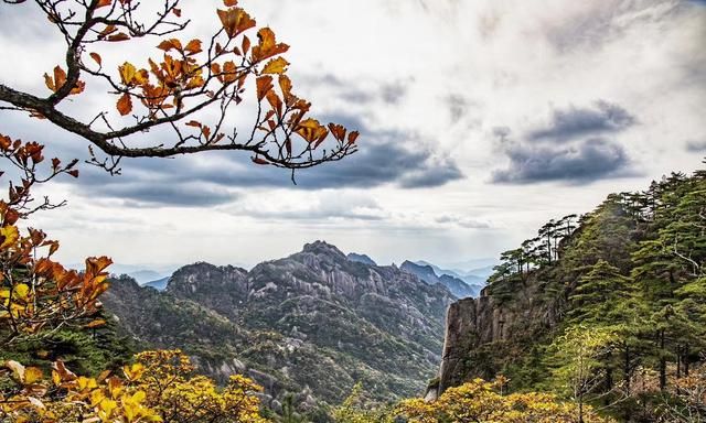 天下第一奇山黄山旅游景点(黄山风景区风景秀丽中外闻名)图7