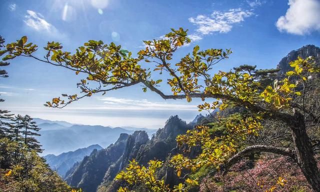 天下第一奇山黄山旅游景点(黄山风景区风景秀丽中外闻名)图8