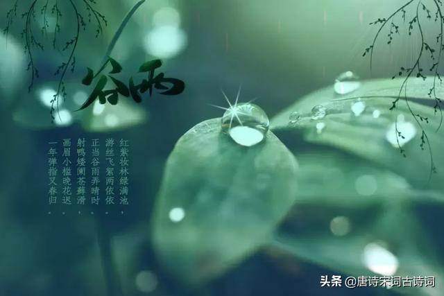 谷雨经典古诗(谷雨经典古诗范成大)图7