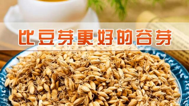 生麦芽的作用(生麦芽的作用是什么? 百度网盘)图6