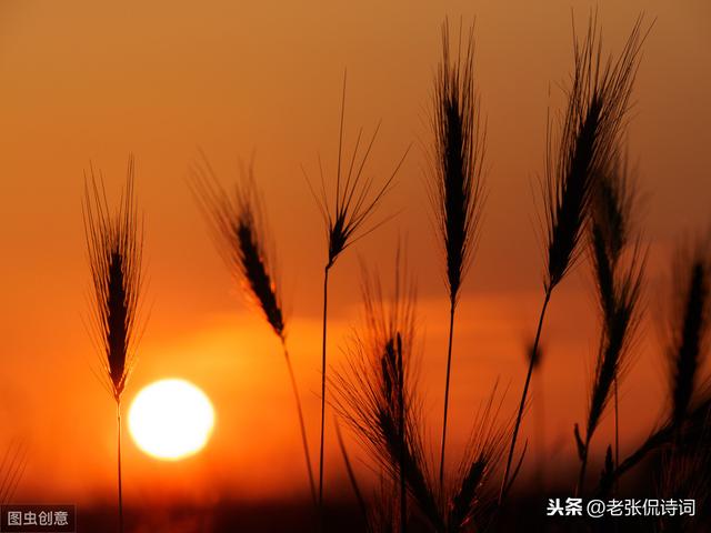 花间派的鼻祖是,关于“晚唐五代花间派的鼻祖是”图3