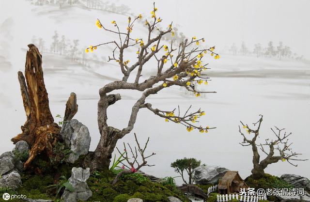 花间派的鼻祖是,关于“晚唐五代花间派的鼻祖是”图11