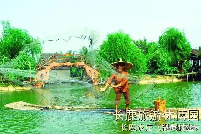 长鹿农庄旅游攻略(长鹿农庄游玩攻略最新)图40