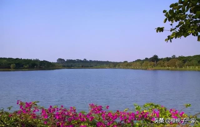 肇庆七星岩门票, 肇庆七星岩门票多少钱一张图22