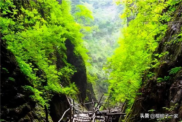 肇庆七星岩门票, 肇庆七星岩门票多少钱一张图40