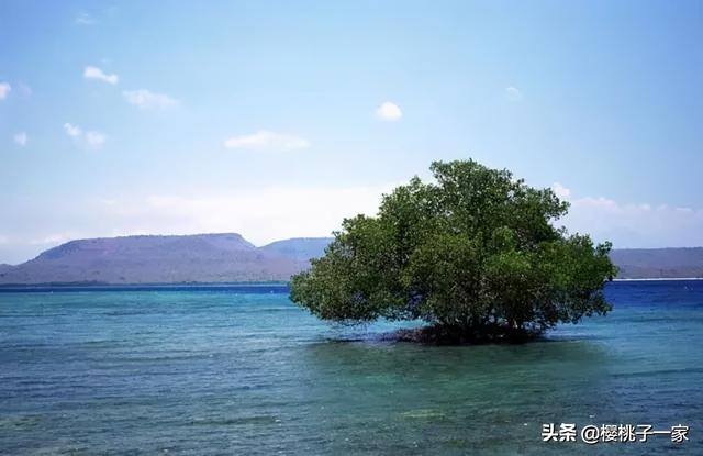 肇庆七星岩门票, 肇庆七星岩门票多少钱一张图50