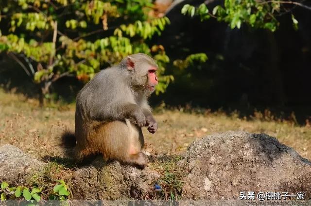 肇庆七星岩门票, 肇庆七星岩门票多少钱一张图51