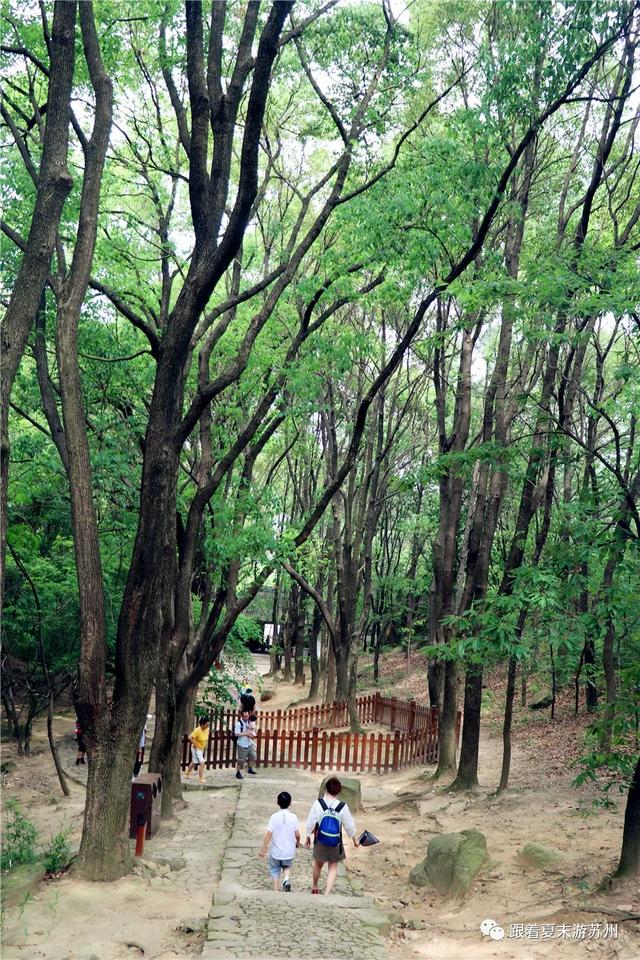 苏州天池山, 苏州天池山风景区简介图7