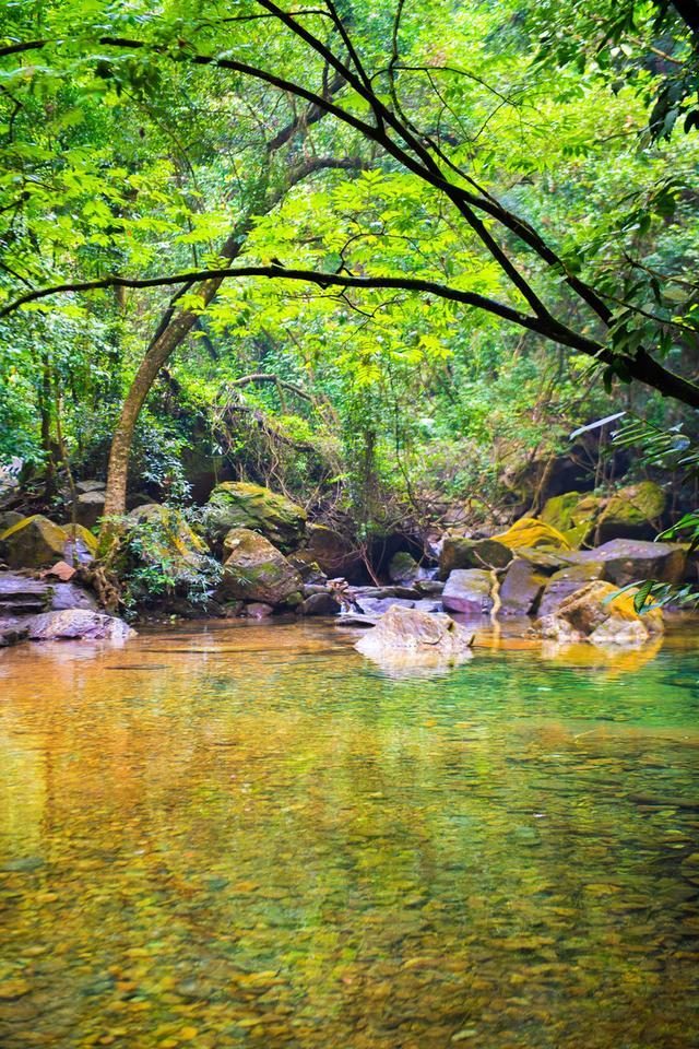 鼎湖山旅游攻略(鼎湖山景区旅游攻略)