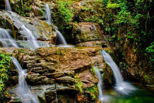 鼎湖山旅游攻略(鼎湖山景区旅游攻略)图11